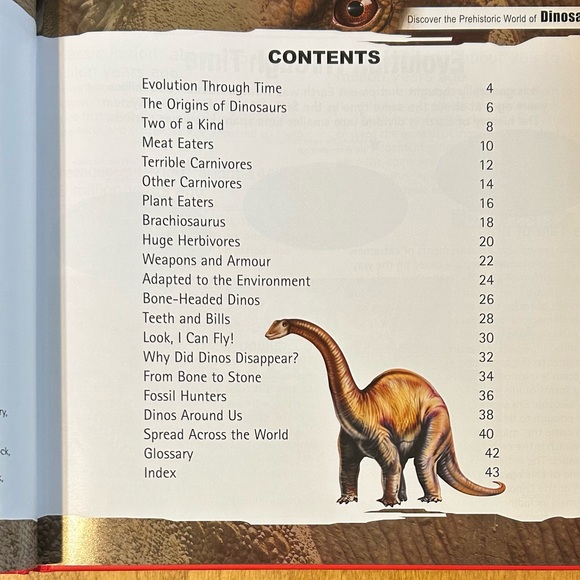 Count & Add Dinosaurs Activity Set with Dinosaurs Reference Book (For Kids) - Picture 6 of 10